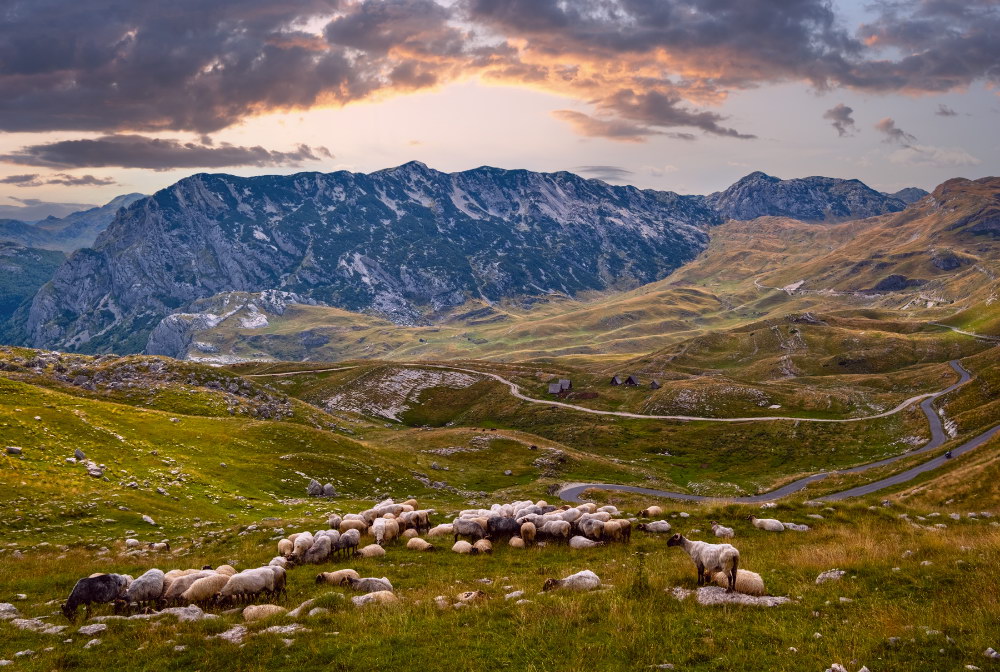 Sveti Stefan island and coastline