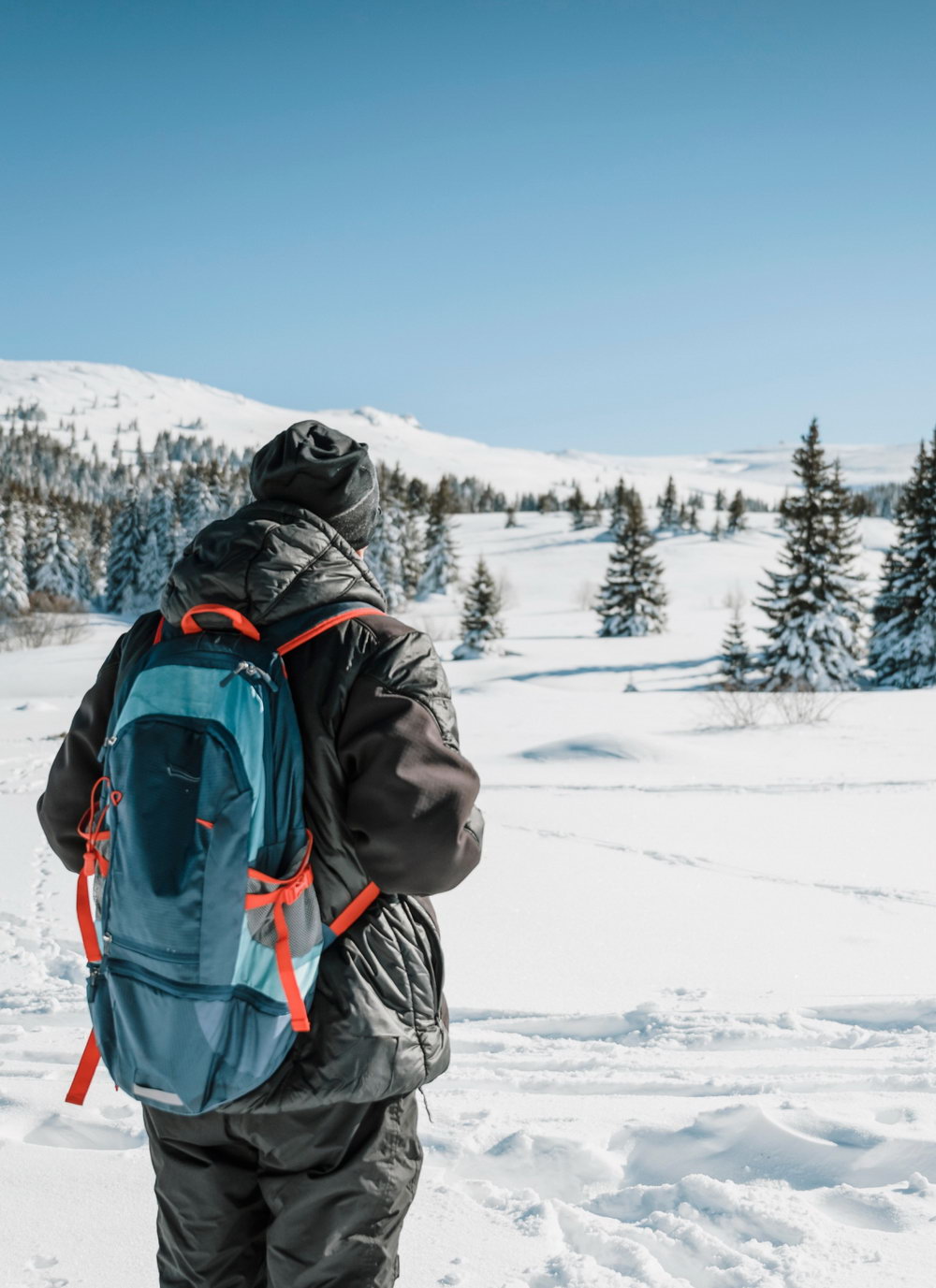 Telefy eSIM in Bulgaria