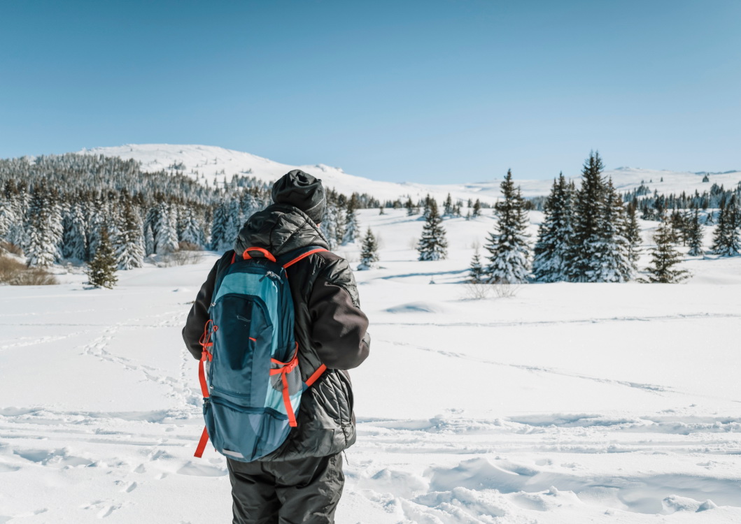 Telefy eSIM in Bulgaria