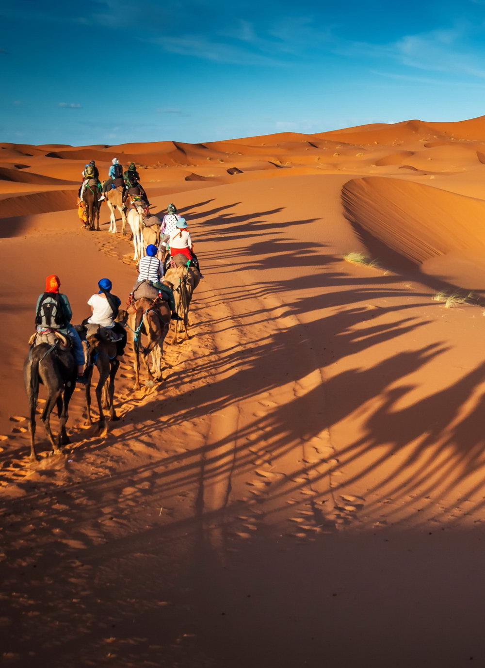 Telefy eSIM in Bahrain