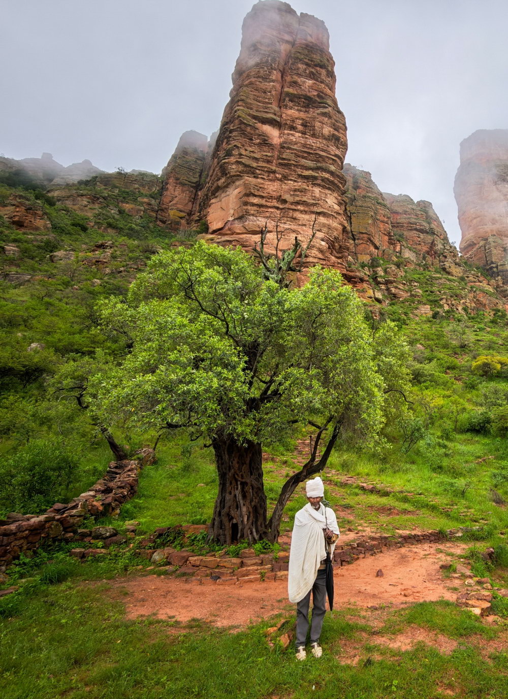 Telefy eSIM in Ethiopia