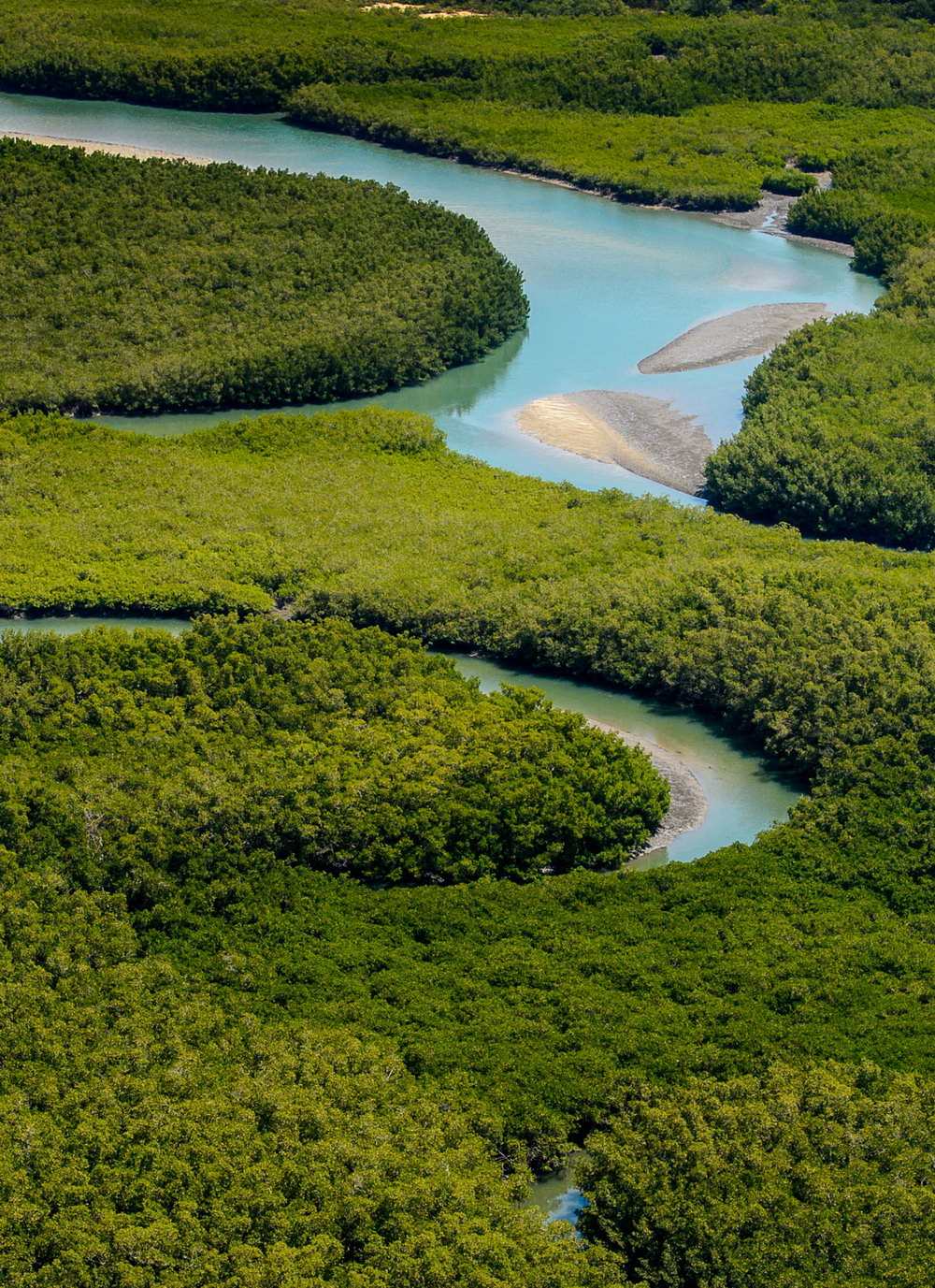 Telefy eSIM in Guinea-Bissau