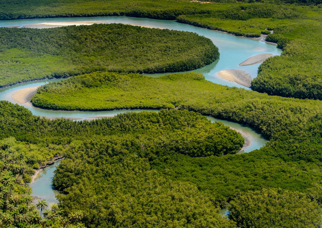 Telefy eSIM in Guinea-Bissau