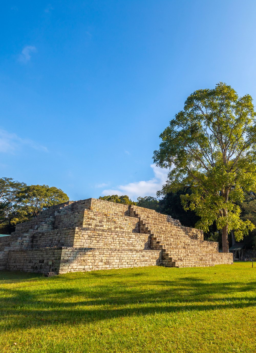 Telefy eSIM in Honduras