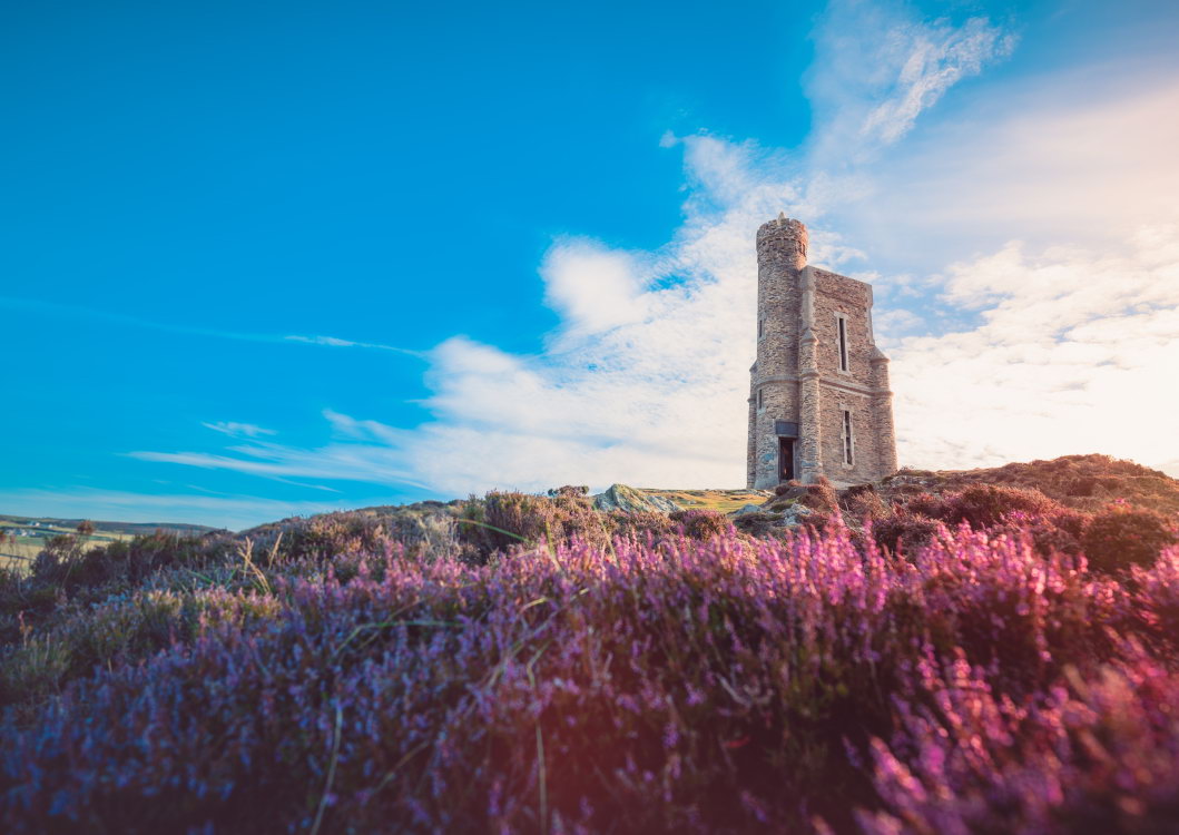 Telefy eSIM in Isle of Man