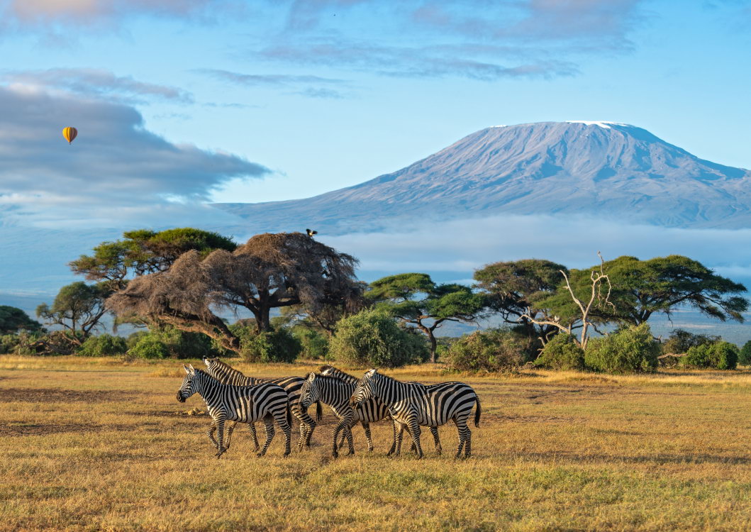 Telefy eSIM in Kenya