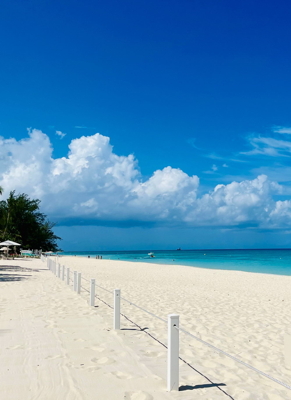 Telefy eSIM in Cayman Islands