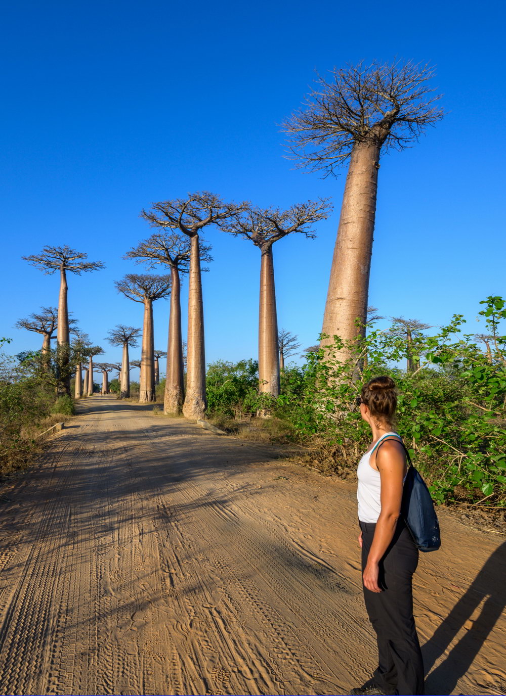 Telefy eSIM in Madagascar