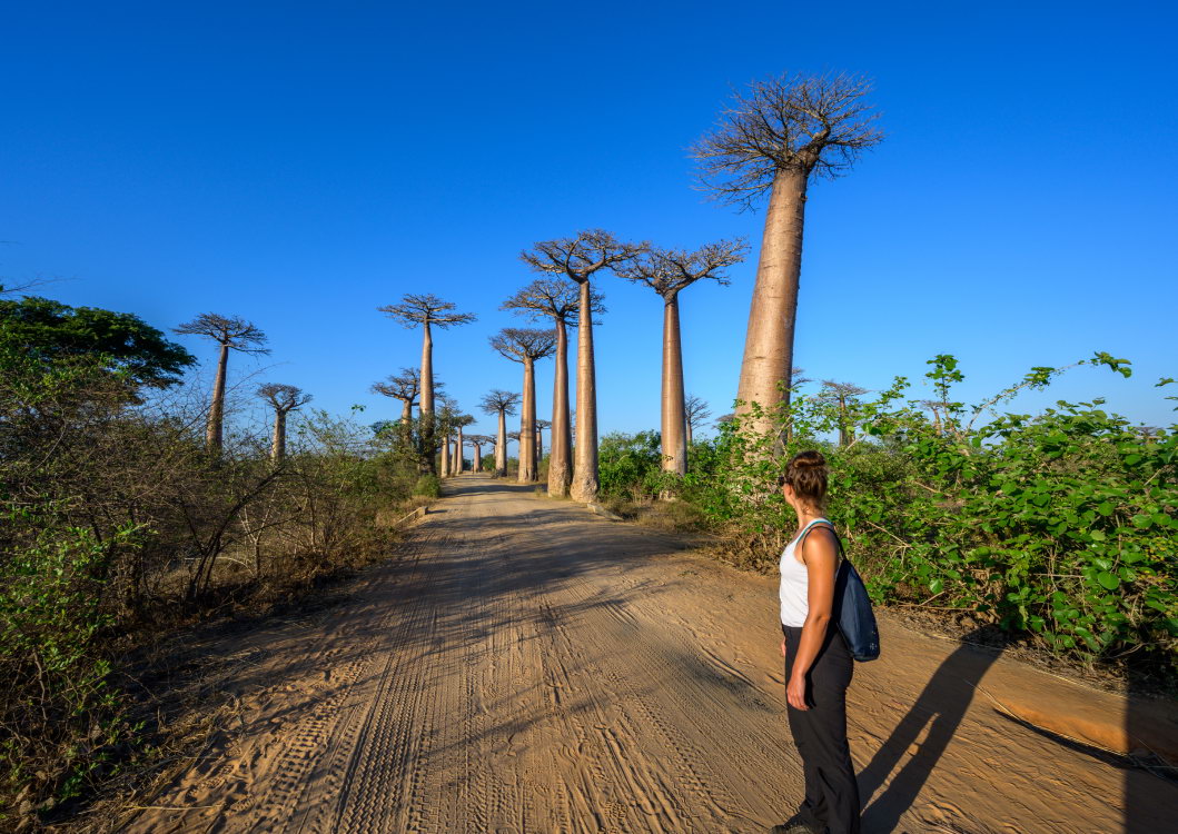 Telefy eSIM in Madagascar