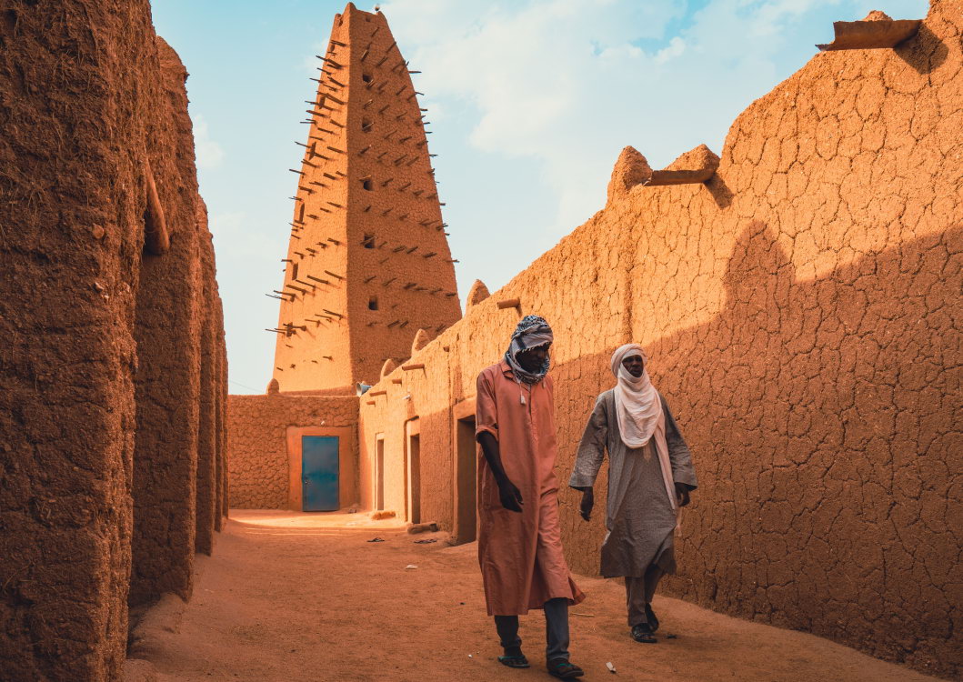 Telefy eSIM in Niger