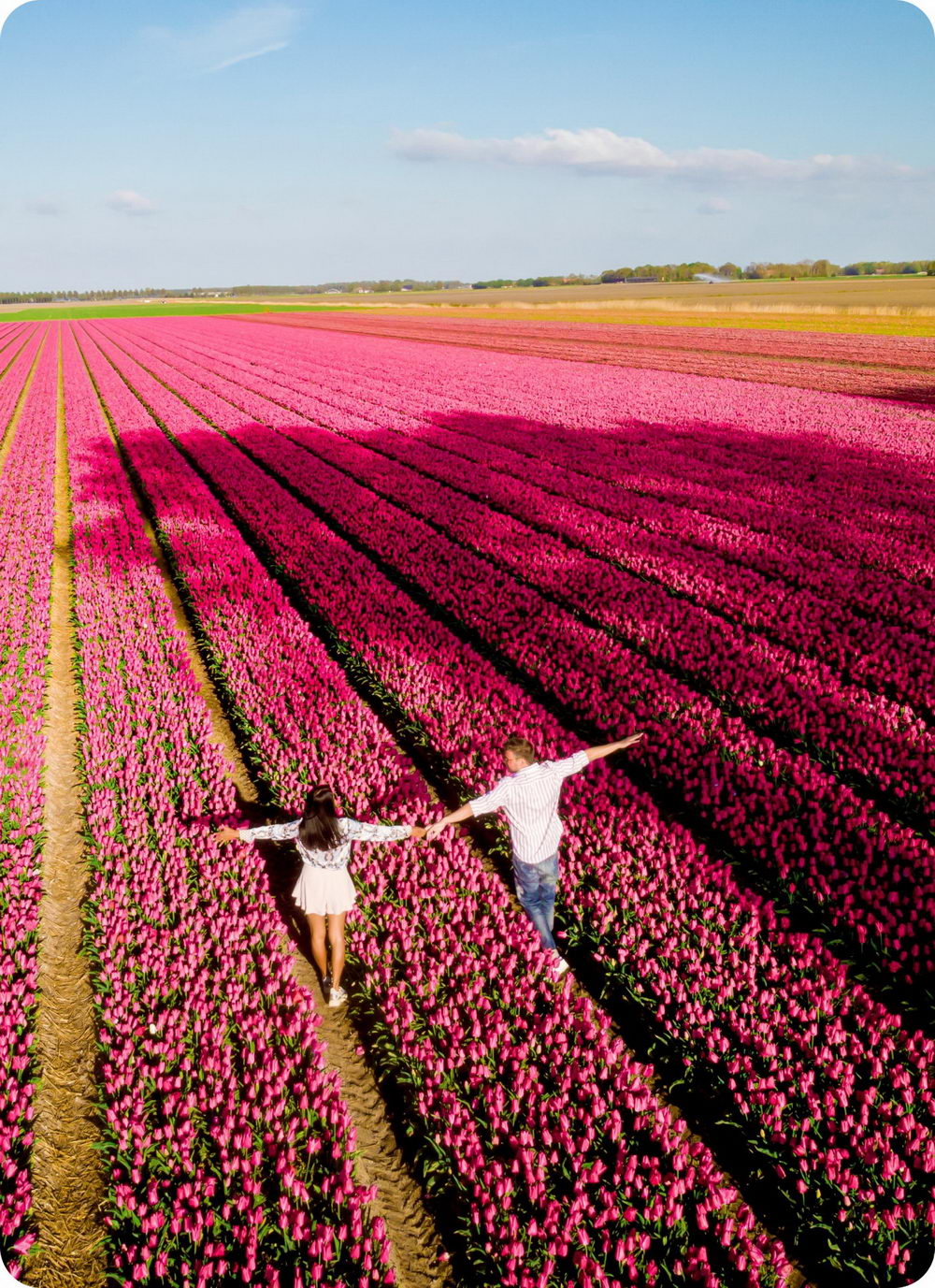 Telefy eSIM in Netherlands
