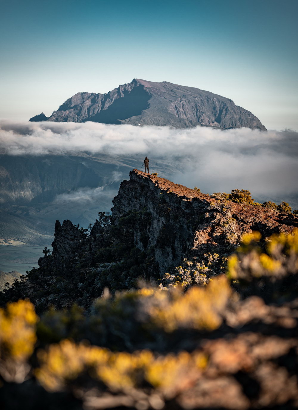 Telefy eSIM in Reunion