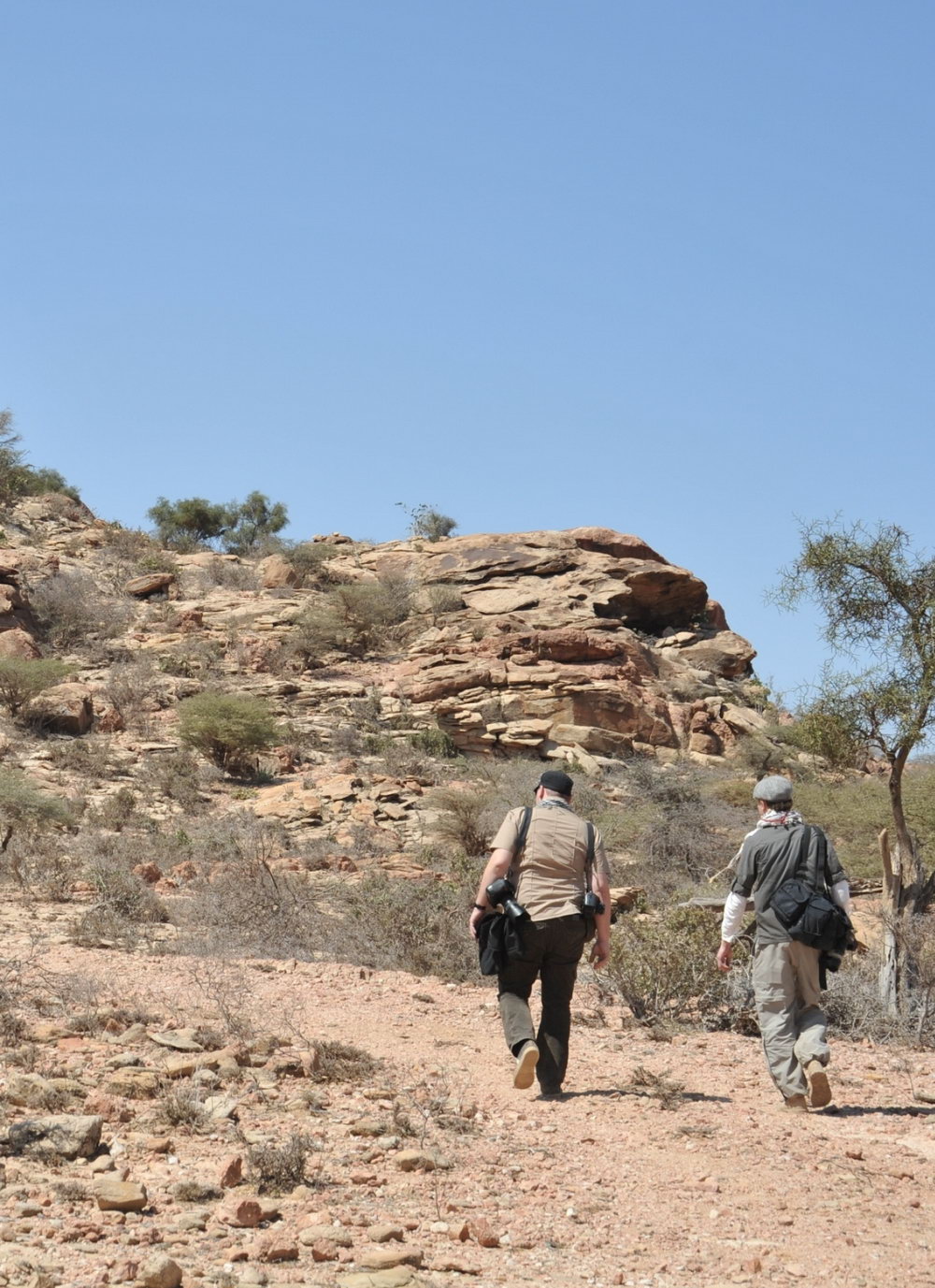 Telefy eSIM in Somalia