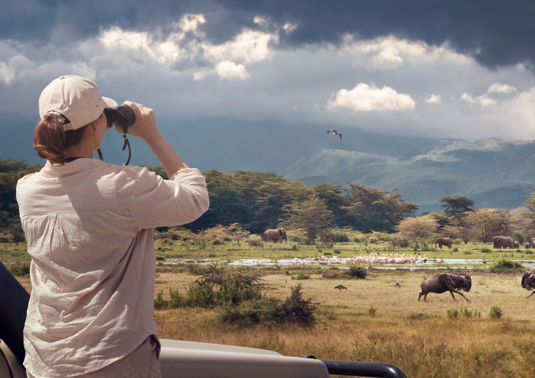 Telefy eSIM in Tanzania