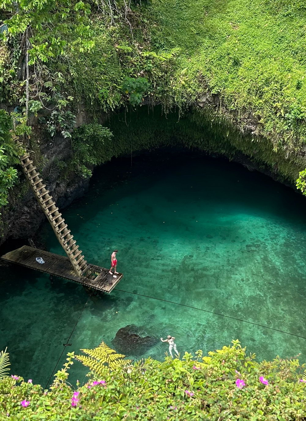 Telefy eSIM in Samoa