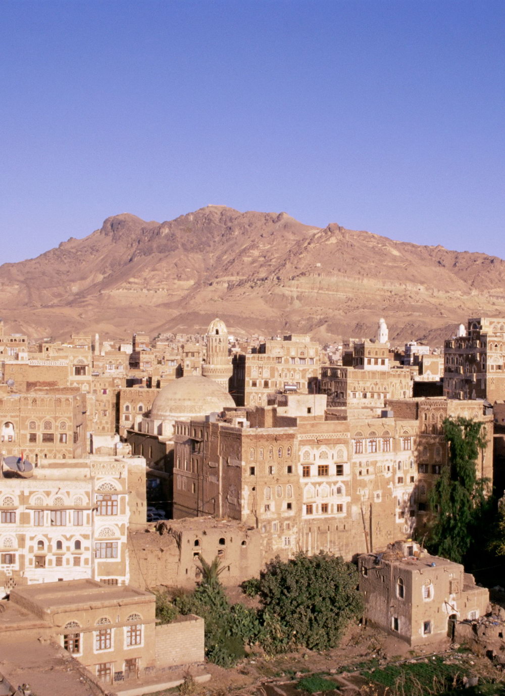 Telefy eSIM in Yemen